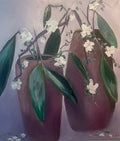 Magnoliublóm - The flower of Magnolia