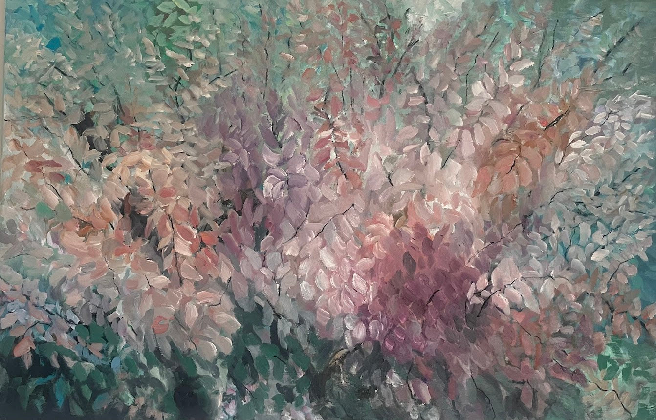 Gljámispill - Cotoneaster lucidus