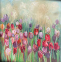 Túlipanar - Tulips
