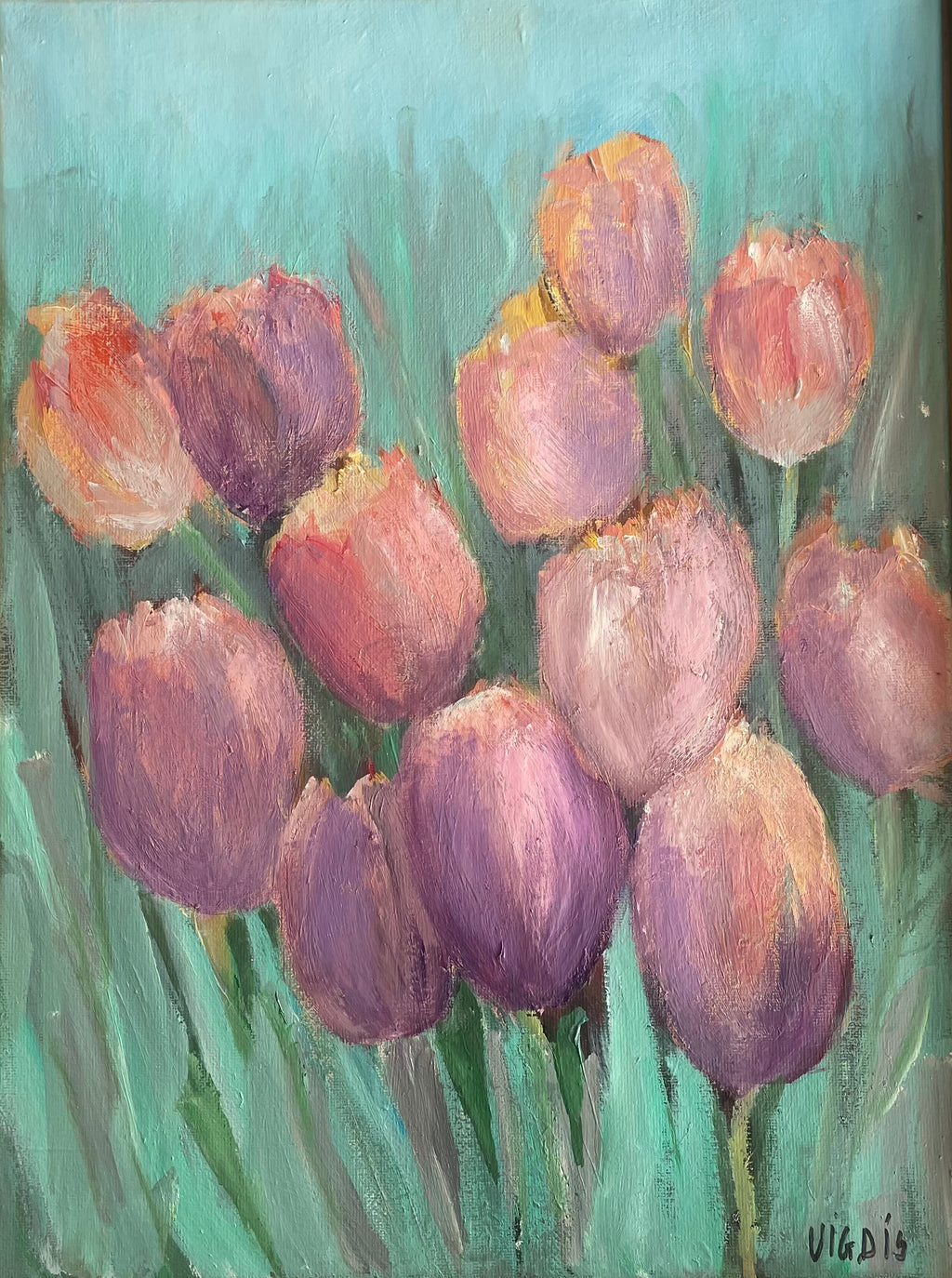 Túlipanar  IV - Tulips  IV