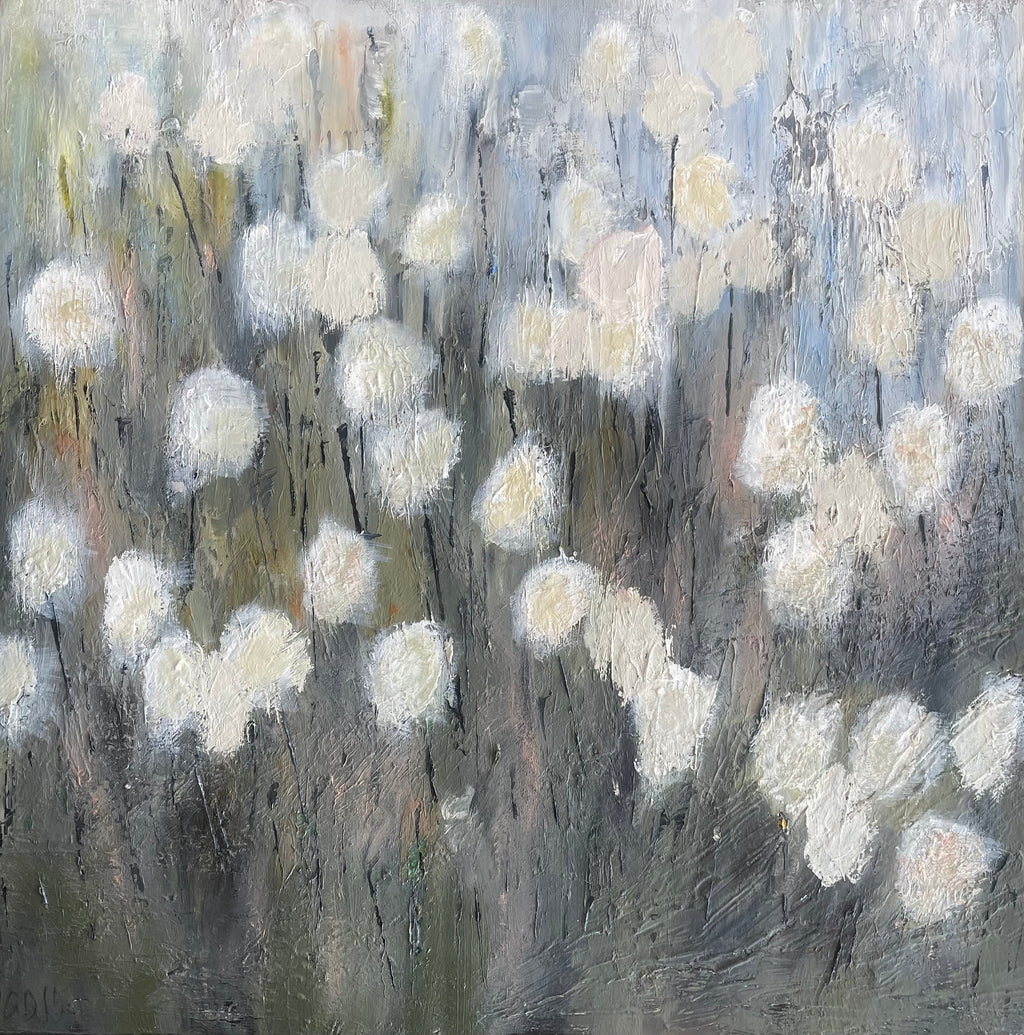 Fiífur. Common - Cotton grass