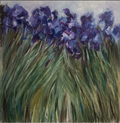 Iris I