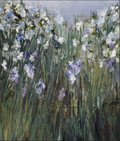 Iris II
