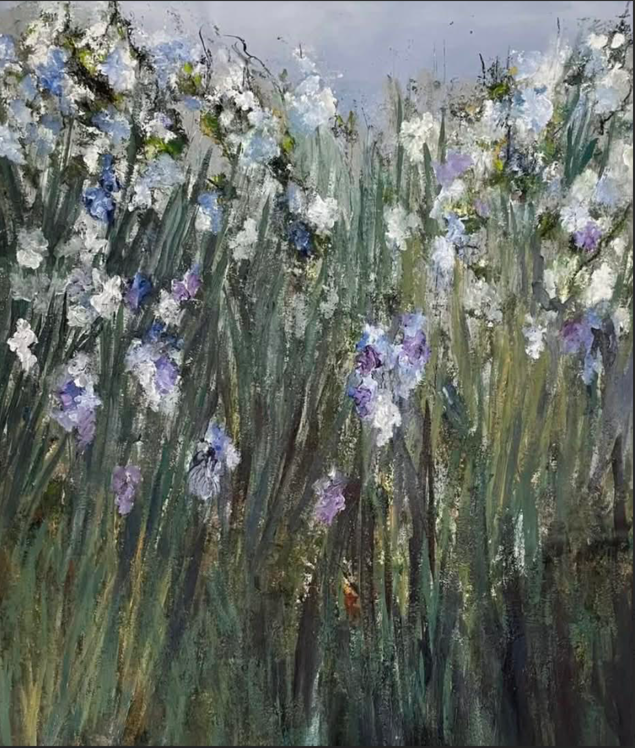 Iris II